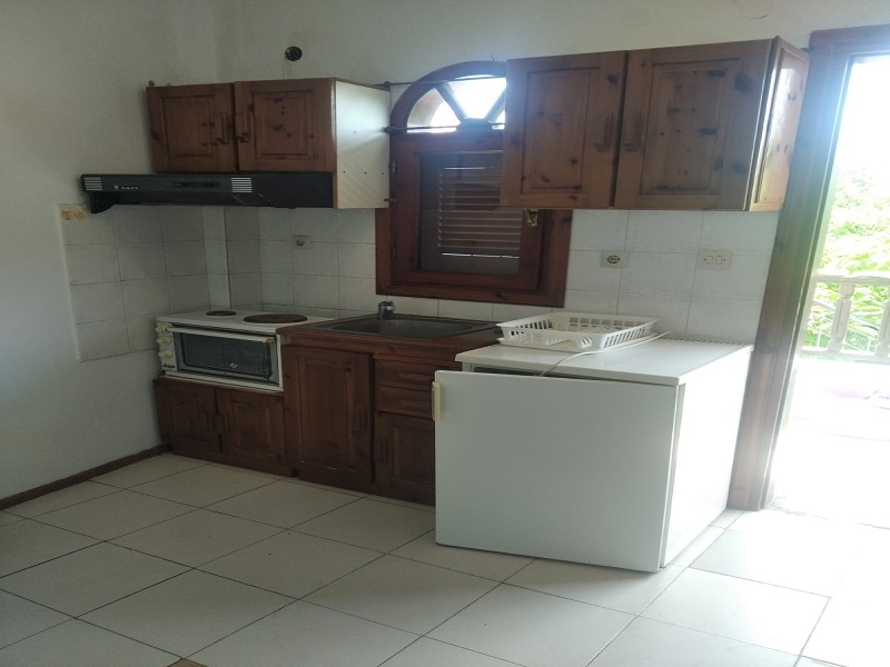 Mojsvet_palma-2-vila1