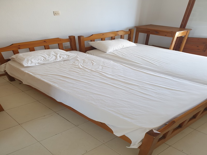 Mojsvet_palma-2-vila10