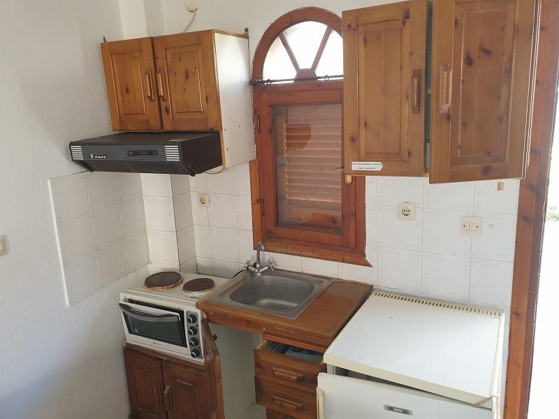 Mojsvet_palma-2-vila11