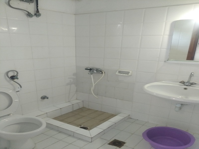 Mojsvet_palma-2-vila2