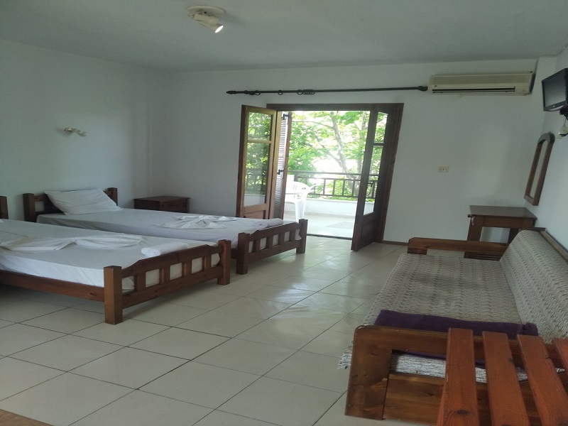 Mojsvet_palma-2-vila3