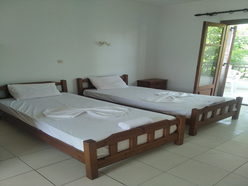 Mojsvet_palma-2-vila4