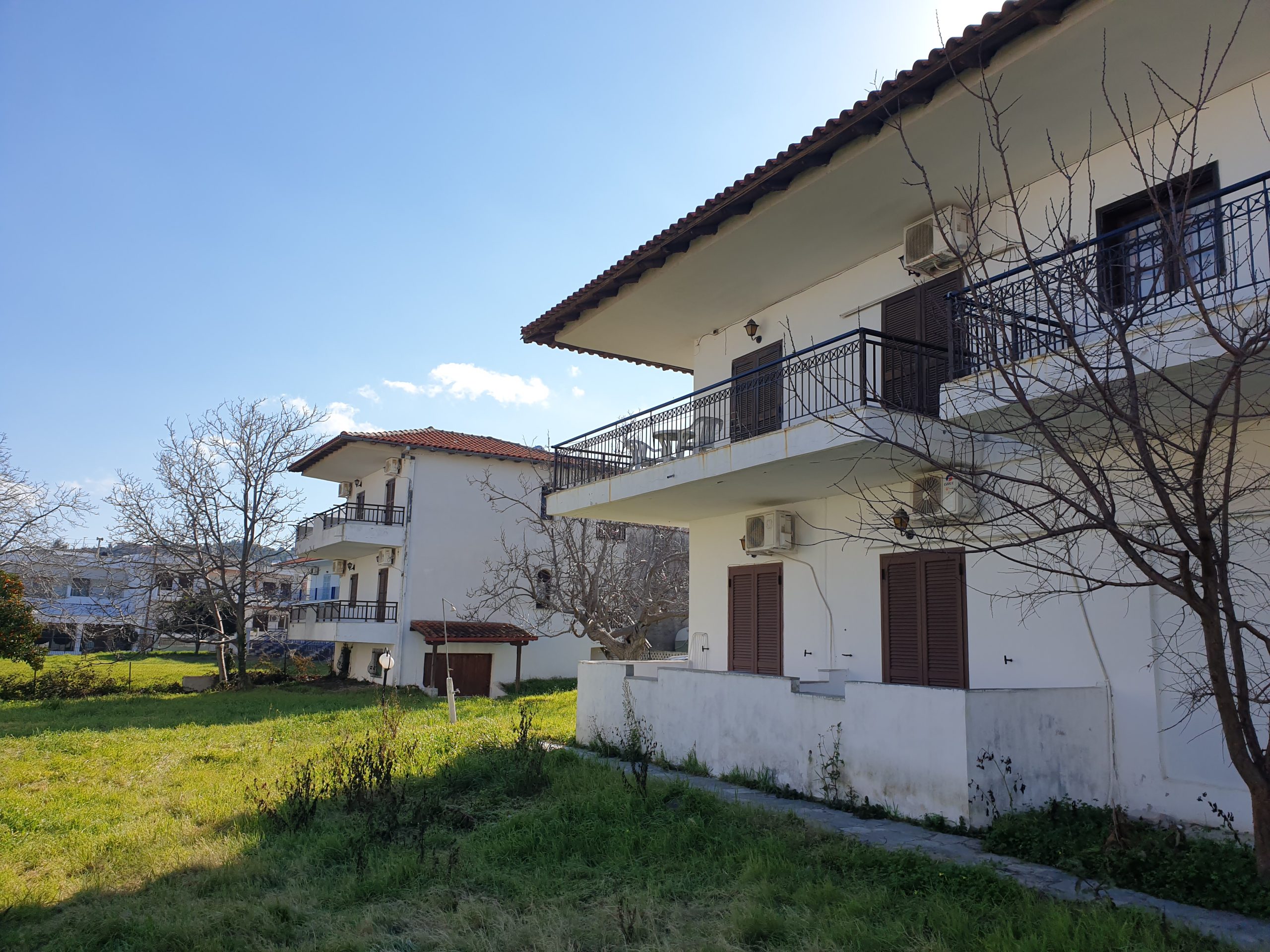 Mojsvet_palma-2-vila5