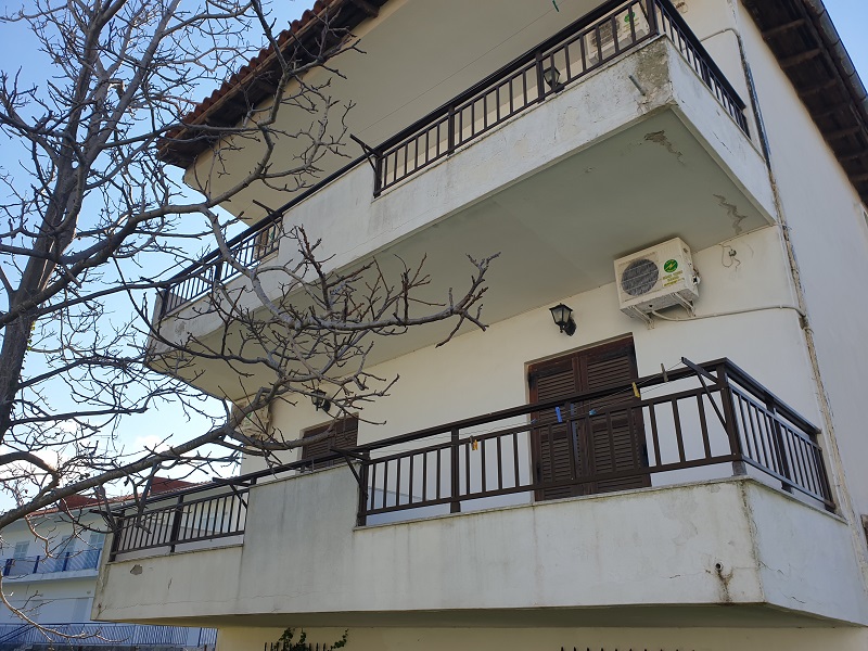 Mojsvet_palma-2-vila7