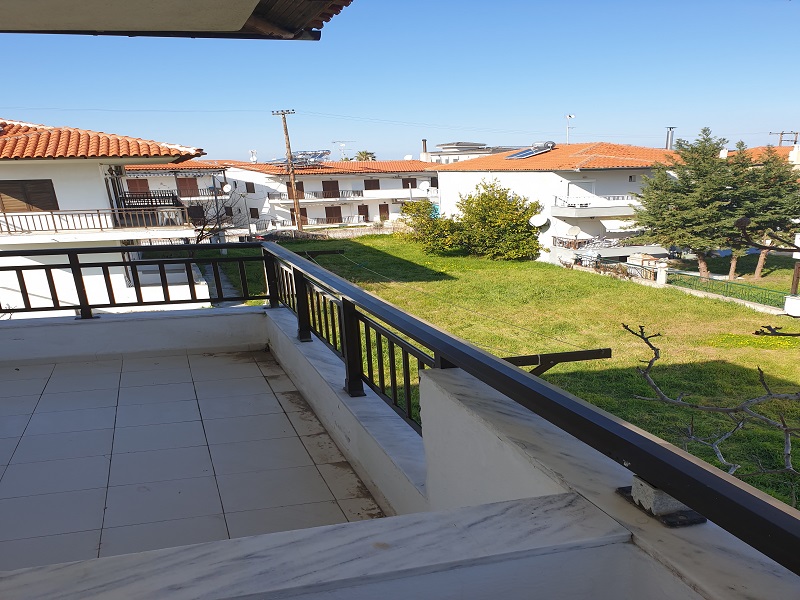 Mojsvet_palma-2-vila8