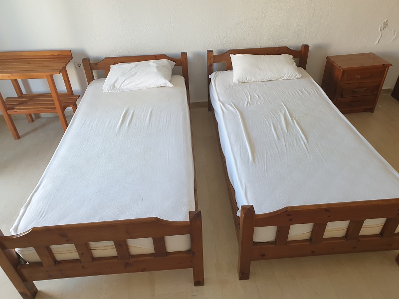 Mojsvet_palma-2-vila9